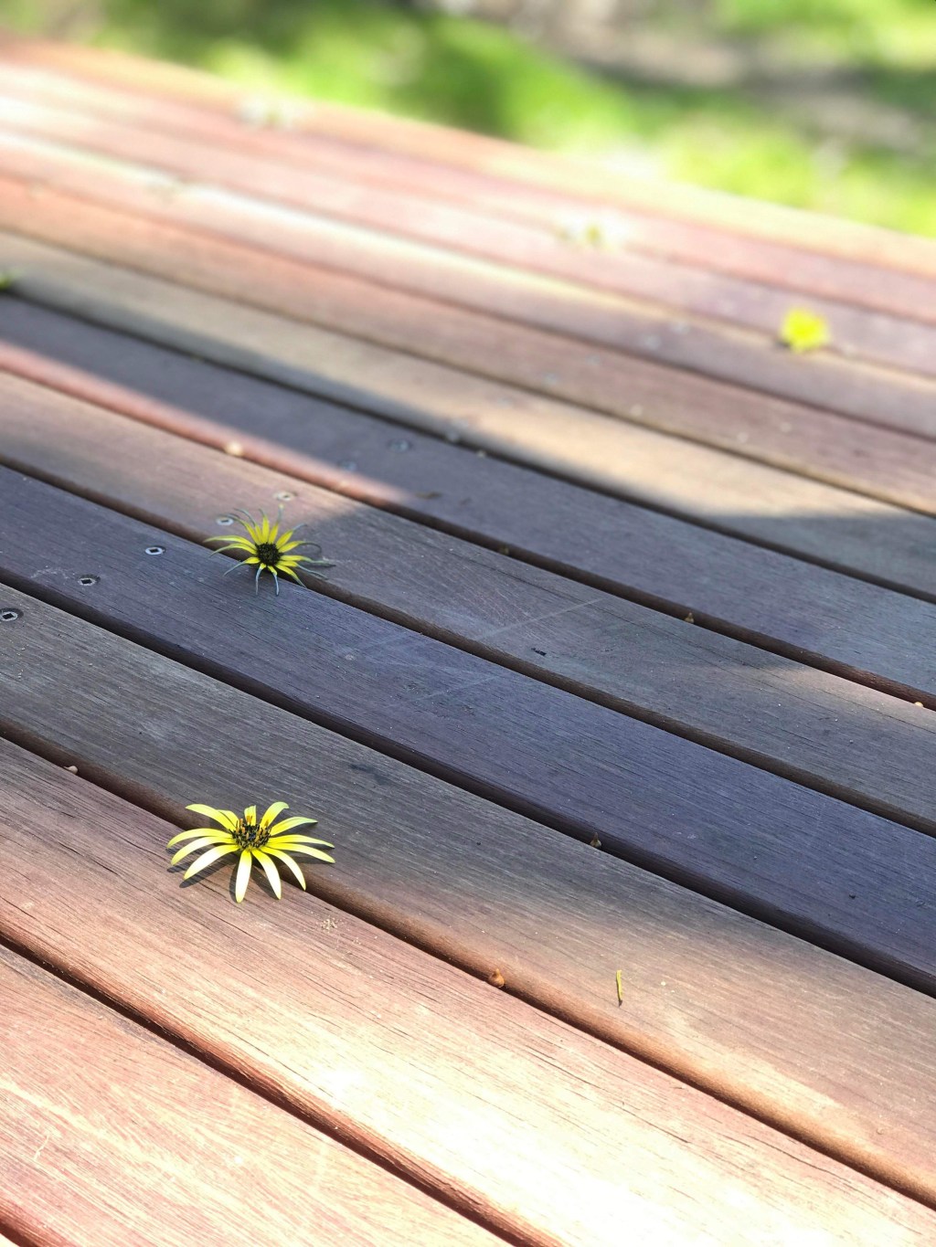 Periphery – on feeling like you are on the outside.