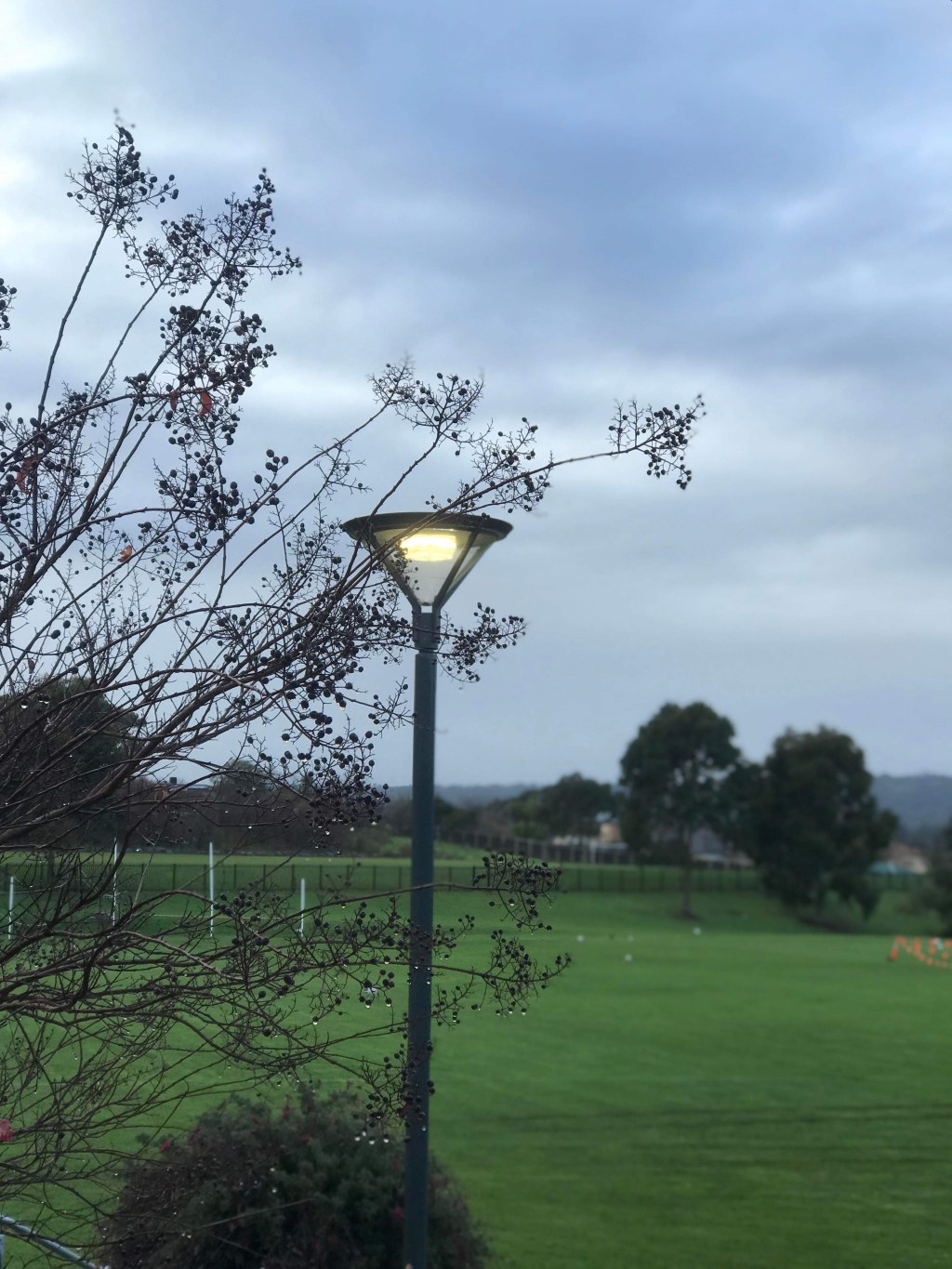 Reframing Resilience – on developing a posture of&nbsp;resilience.