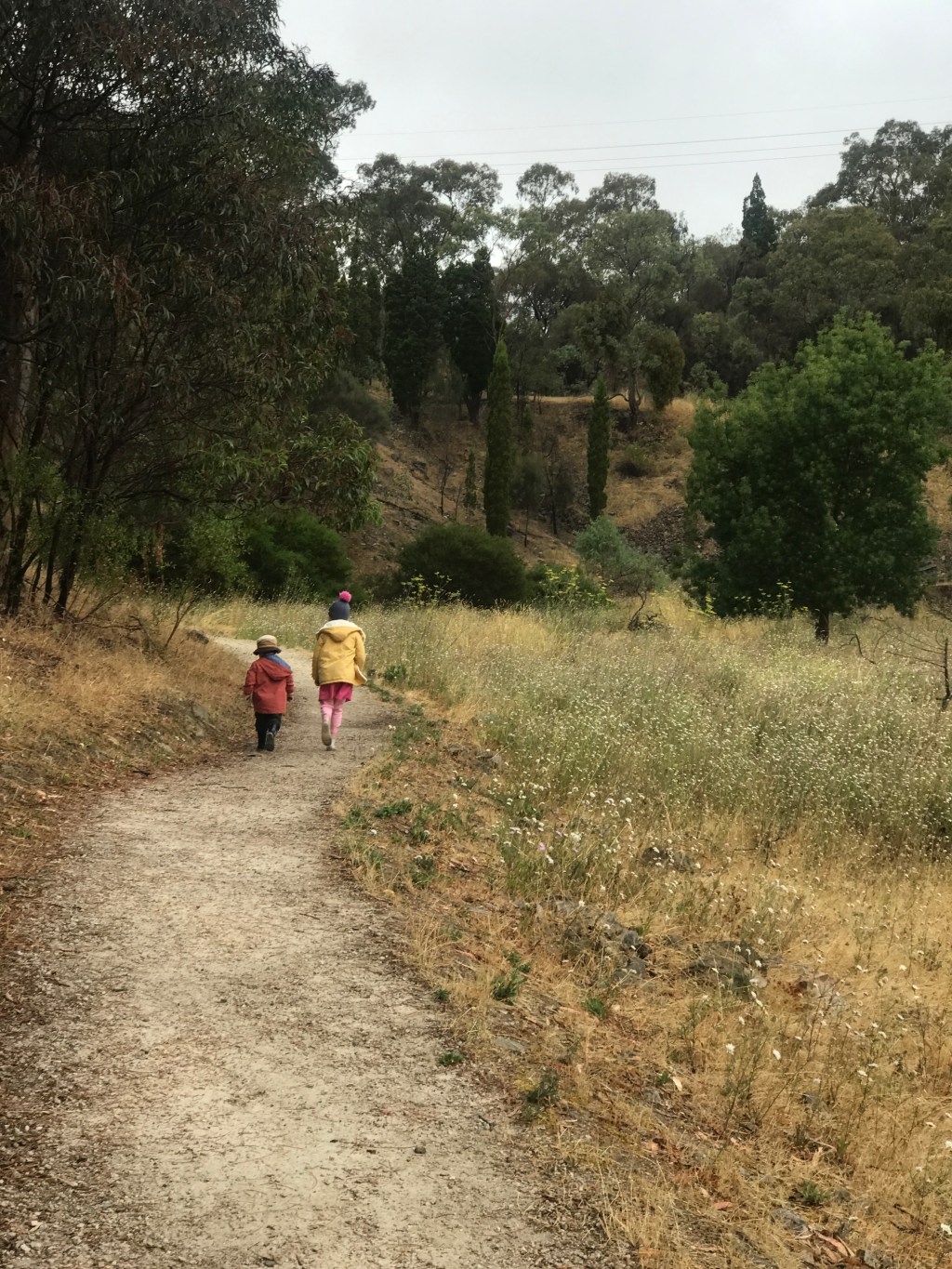 Called to Compassion