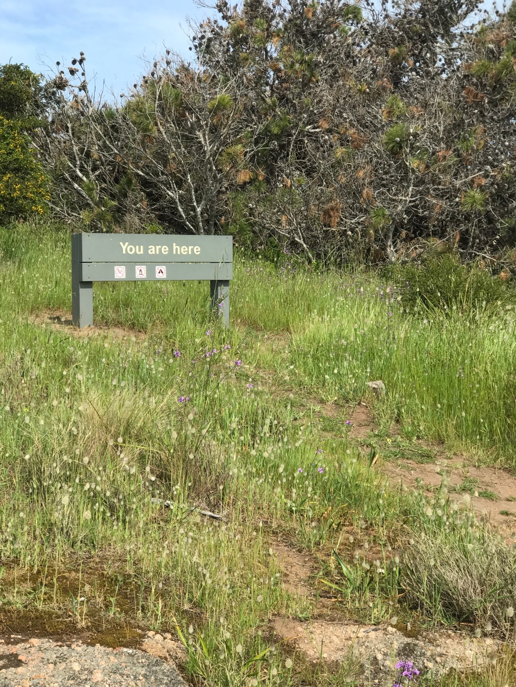 A bit on Labels & a lot on&nbsp;Grace